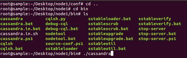 node1/bin folder node1/bin folder
