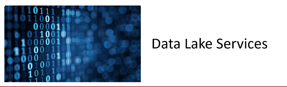 Data Lake Services