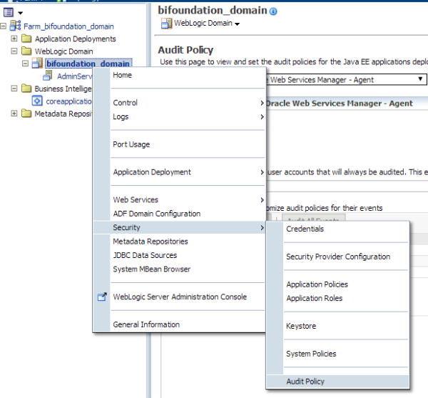 BI Publisher Usage Tracking in OBIEE 11g  Rohit  Devegowda image 9 resized 600
