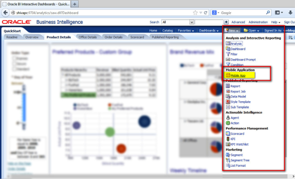 Molabanti_Shiva_2013_09_05_OBIMobileAppDesignerInstallation_Image_9
