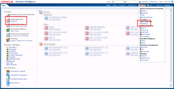 BashaImtyaz 2013 10 25 BI Mad Installation Image17 resized 600