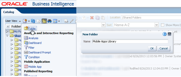 BashaImtyaz 2013 10 25 BI Mad Installation Image13 resized 600