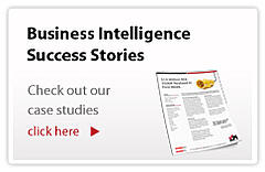 Business Intelligence Case Studies