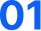 01 (1)
