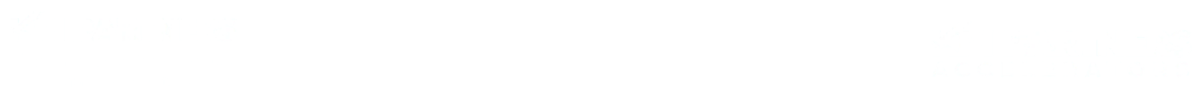 Enterprise Analytics Accelerator on Databricks