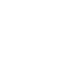 Vector (30)