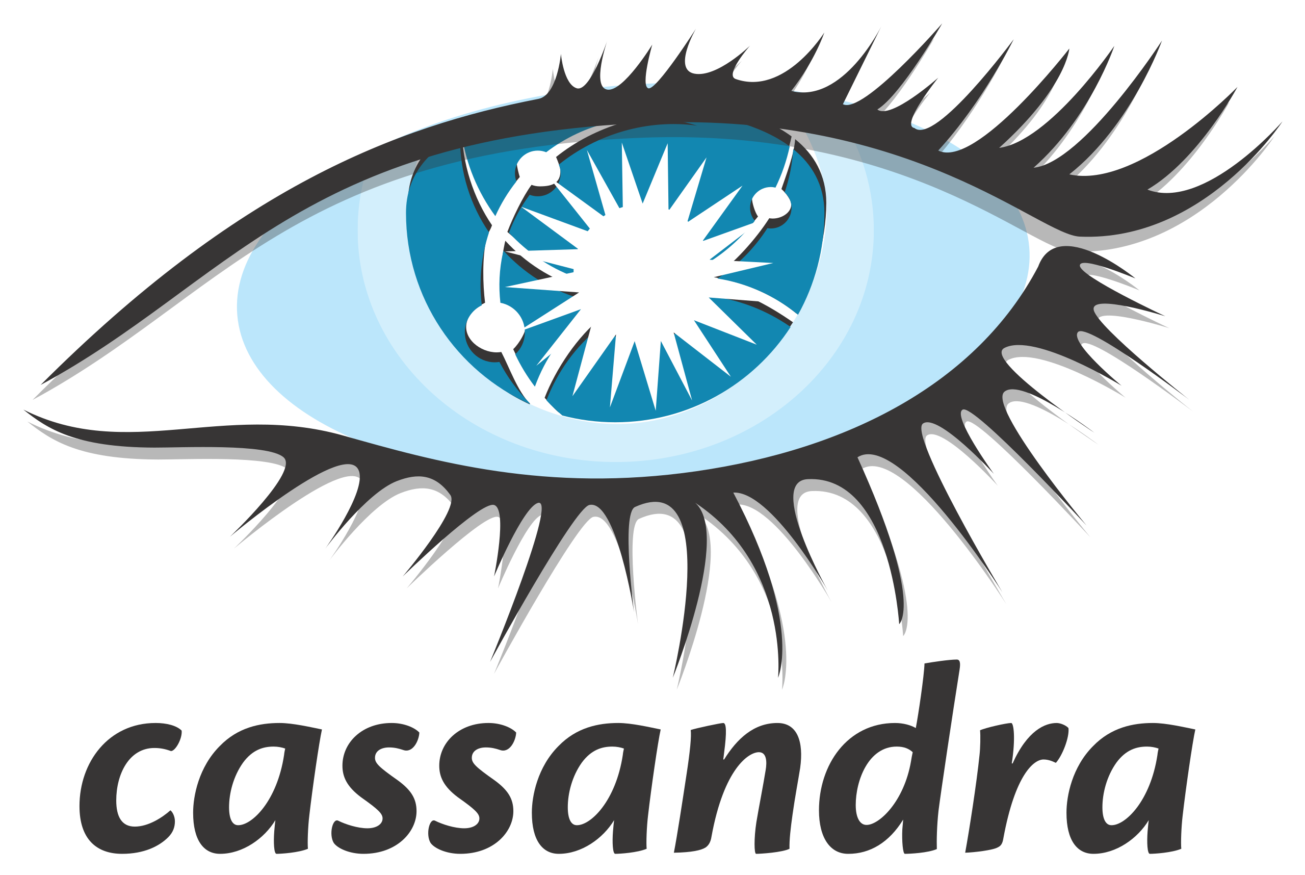 Cassandra_KPI Partners