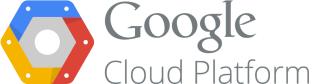 Google-cloud-platform KPI Partners